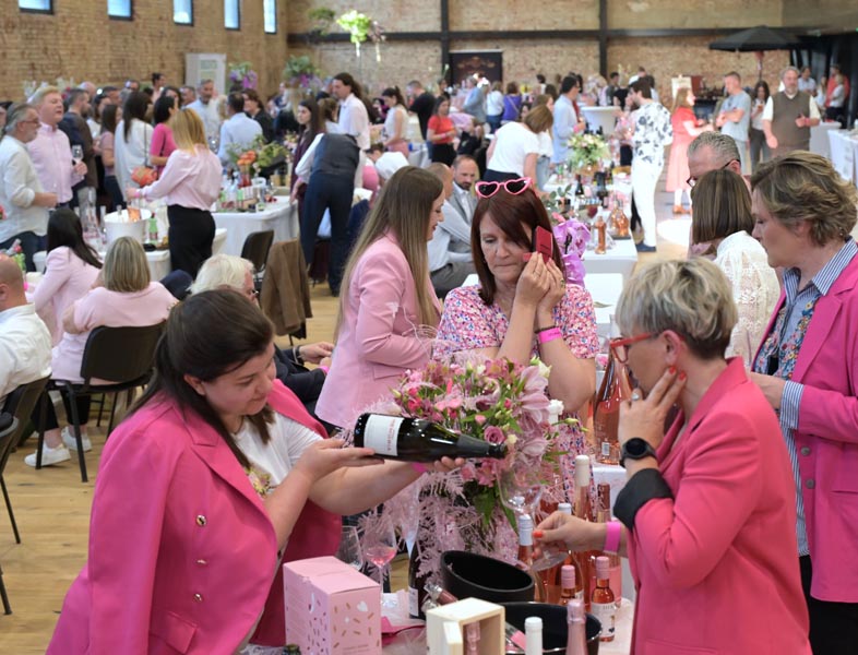 PINK DAY Zagreb festival