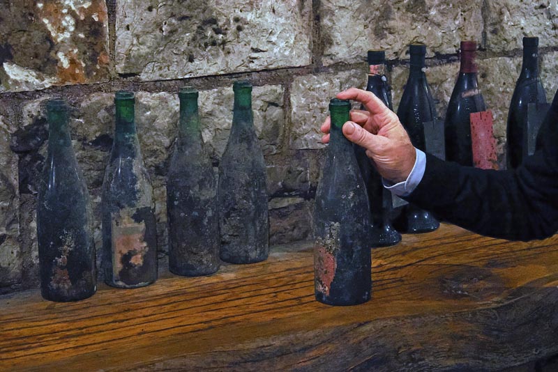 lipica-konji-primorska-kras-modnialmanah-vikend-izlet