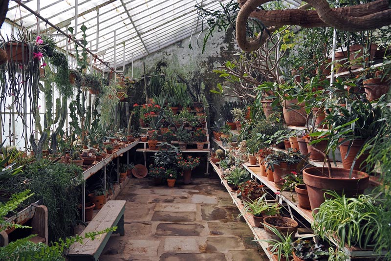 lipica-konji-primorska-kras-modnialmanah-vikend-izlet