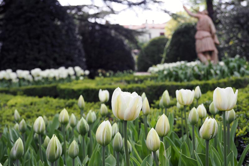 lipica-konji-primorska-kras-modnialmanah-vikend-izlet