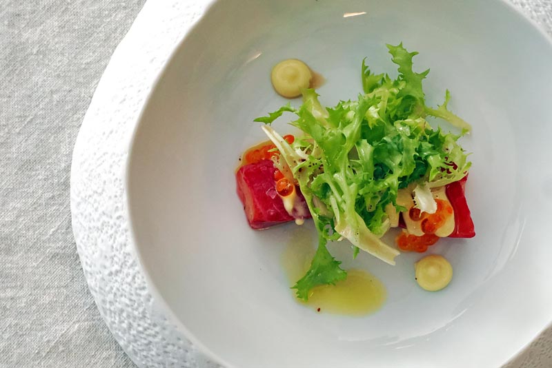 lipica-konji-primorska-kras-modnialmanah-vikend-izlet