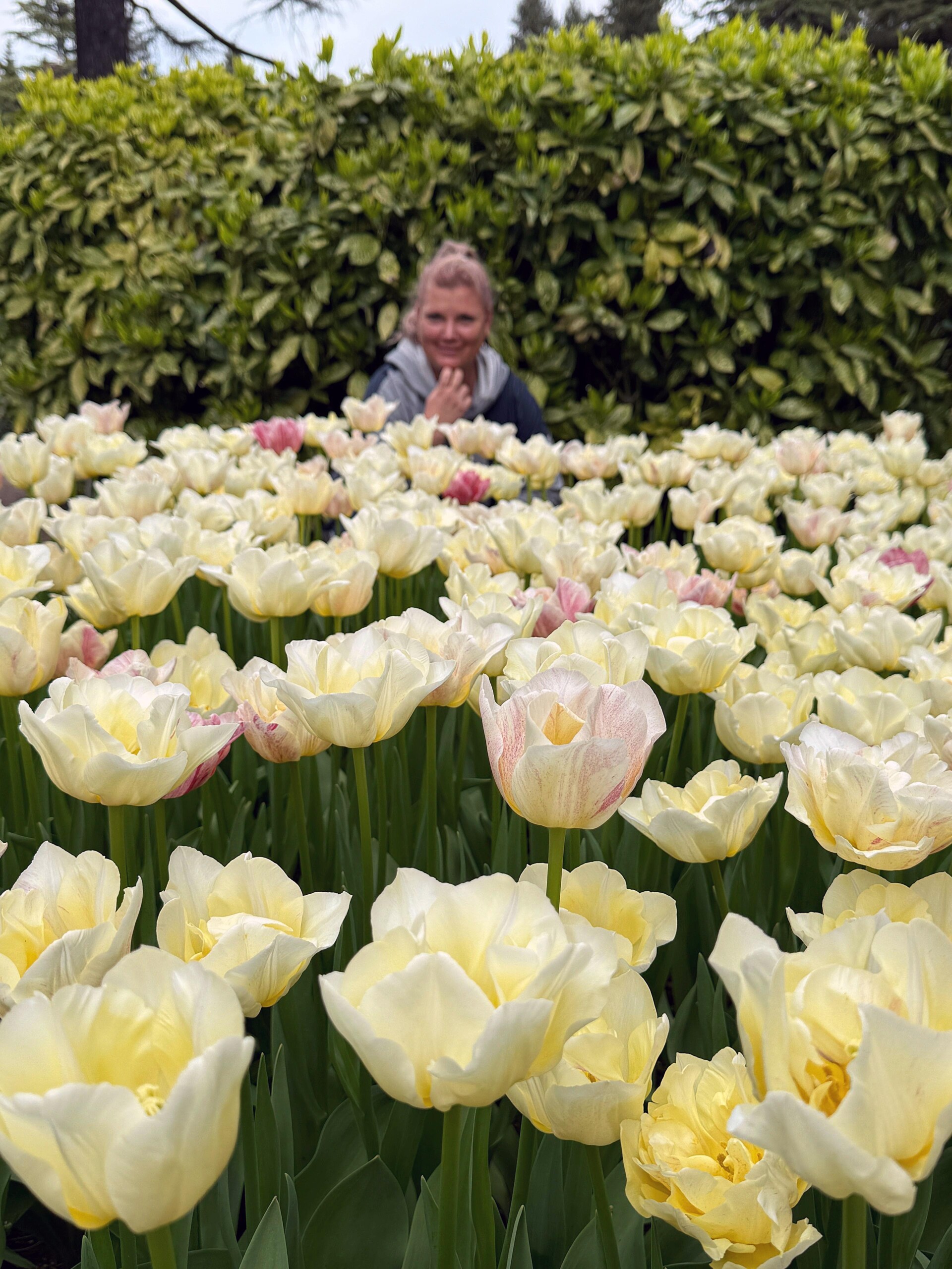 lipica-konji-primorska-kras-modnialmanah-vikend-izlet