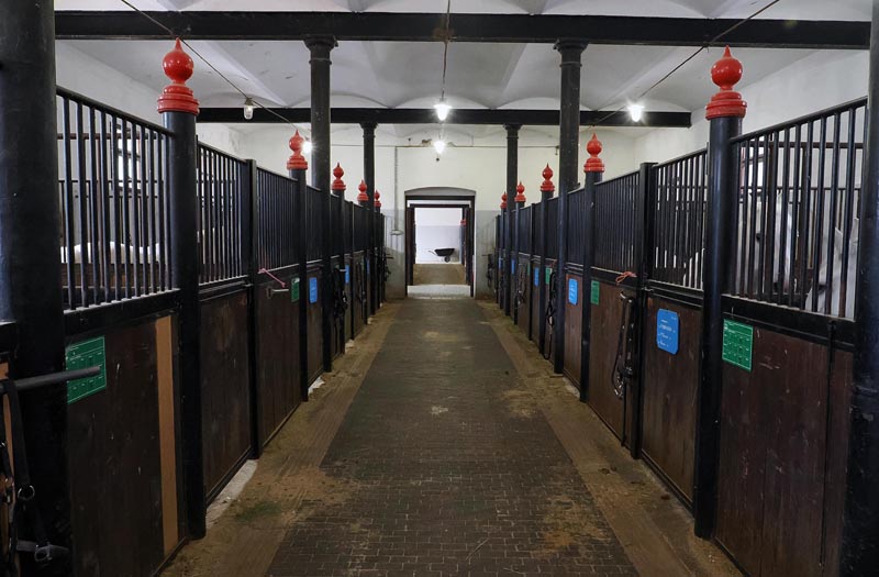 lipica-konji-primorska-kras-modnialmanah-vikend-izlet