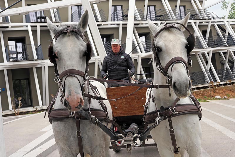 lipica-konji-primorska-kras-modnialmanah-vikend-izlet