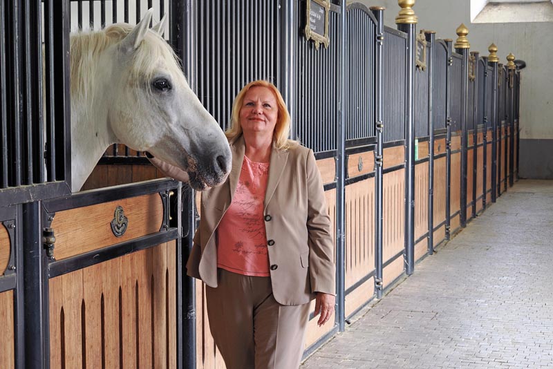 lipica-konji-primorska-kras-modnialmanah-vikend-izlet