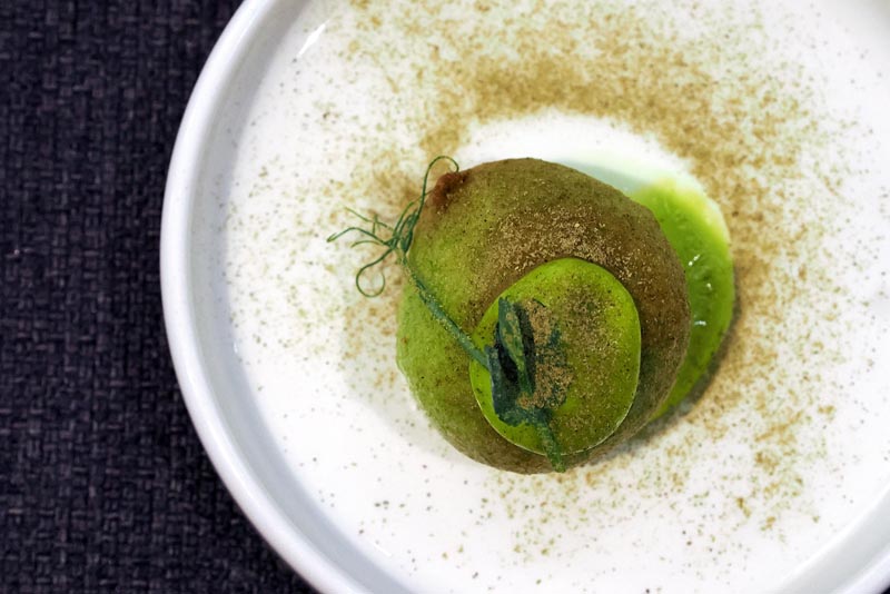 lipica-konji-primorska-kras-modnialmanah-vikend-izlet