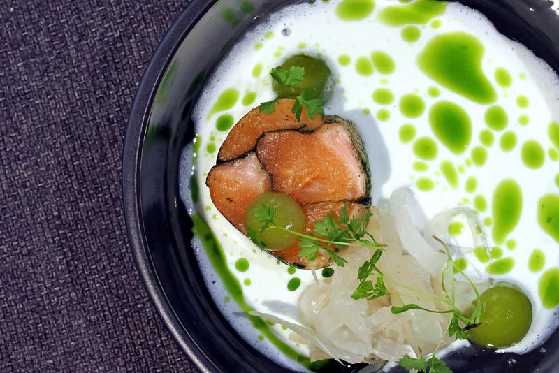 lipica-konji-primorska-kras-modnialmanah-vikend-izlet