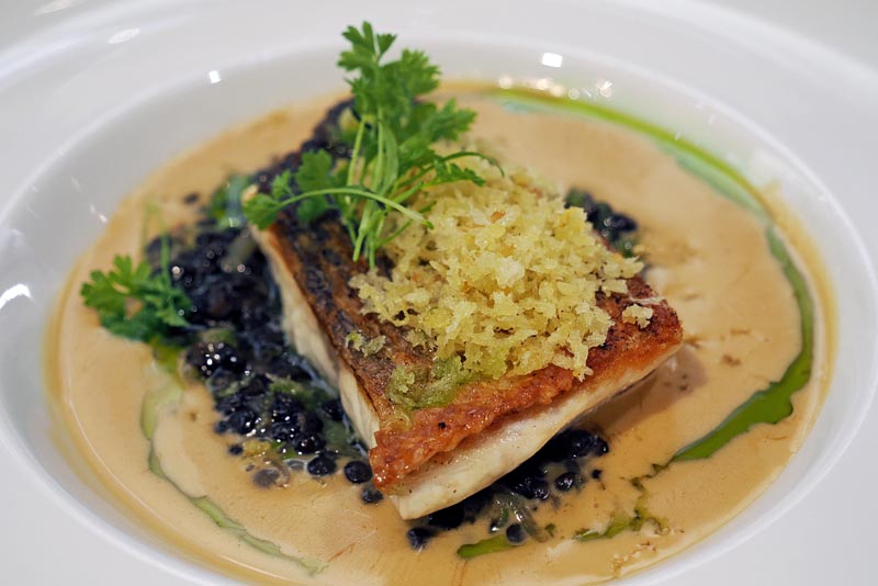 lipica-konji-primorska-kras-modnialmanah-vikend-izlet