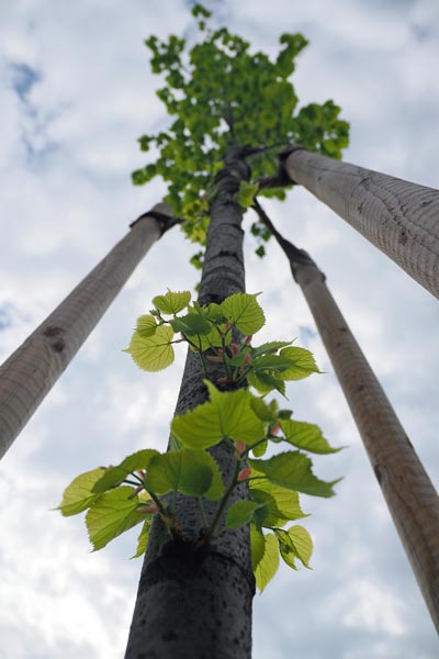 lifestyle-biser-zagorja-modnialmanah-izlet-vikend-zagorje-klanjec