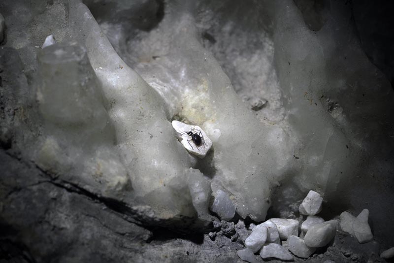 postojnska-jama-lifestyle-hotel-jama-predjamski-grad-izlet-vikend-modnialmanah