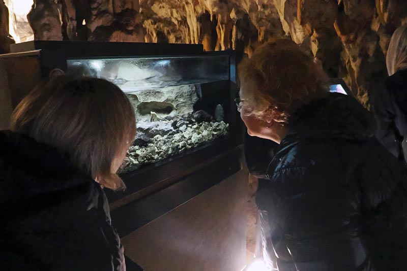 postojnska-jama-lifestyle-hotel-jama-predjamski-grad-izlet-vikend-modnialmanah