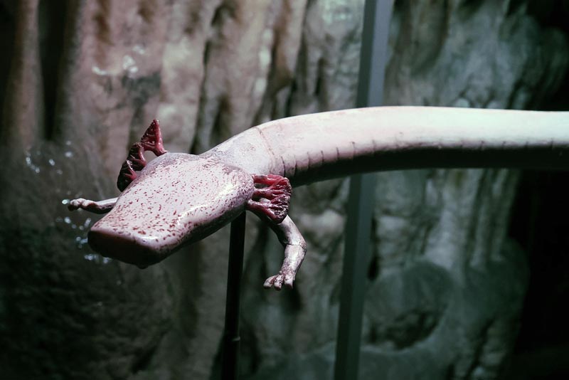 postojnska-jama-lifestyle-hotel-jama-predjamski-grad-izlet-vikend-modnialmanah