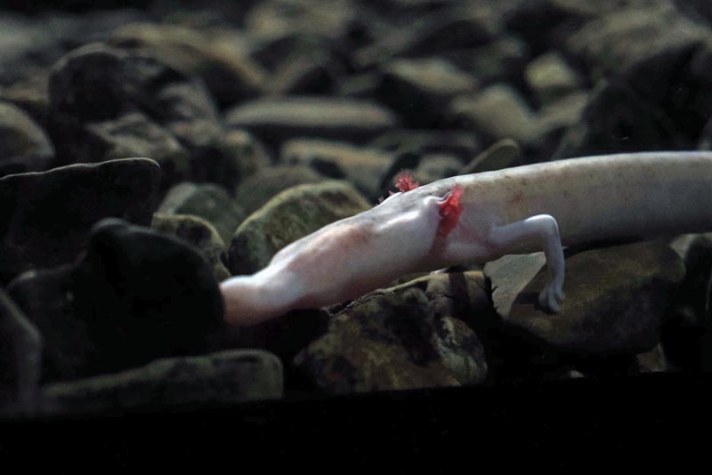 postojnska-jama-lifestyle-hotel-jama-predjamski-grad-izlet-vikend-modnialmanah