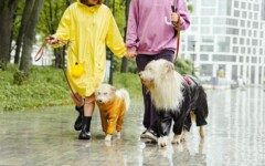 fashion-kabanice-modnialmanah-kiša