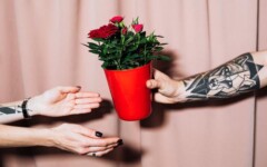 savjet-bonton-darivanje-cvijeća-modnialmanah