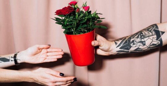 savjet-bonton-darivanje-cvijeća-modnialmanah