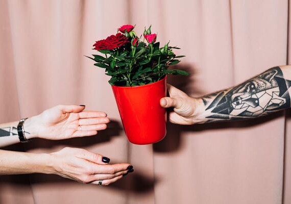 savjet-bonton-darivanje-cvijeća-modnialmanah