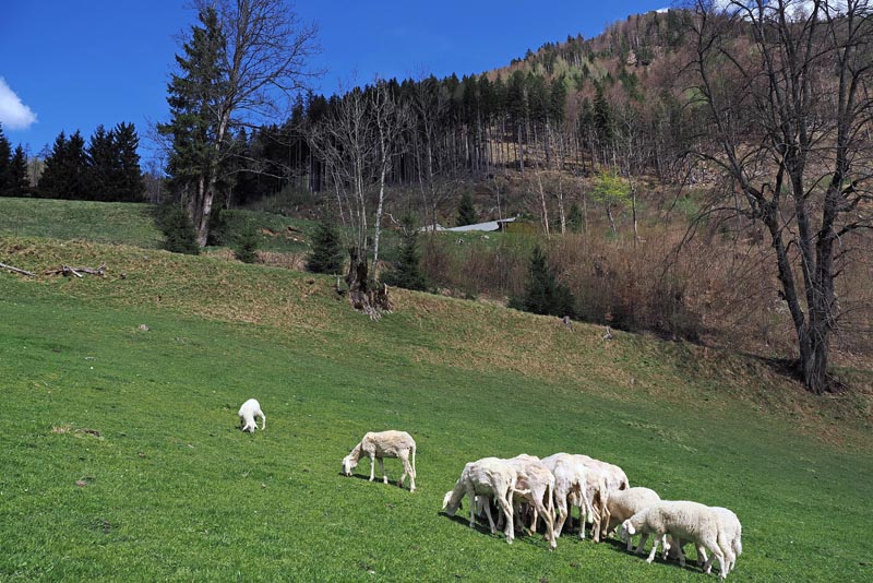 vila-planinka-jezersko-lifestyle-modnialmanah-vikend-izlet