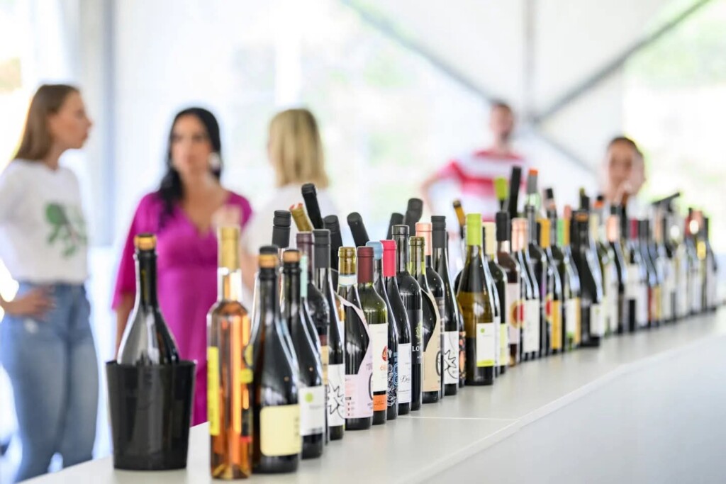 eco-wine-fest-bedenica-modnialmanah-gastro