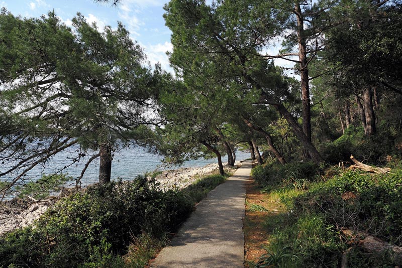 lošinj-island-of-vitality-lifestyle-modnialmanah-vikend-otok-izlet-priroda-gastronomija