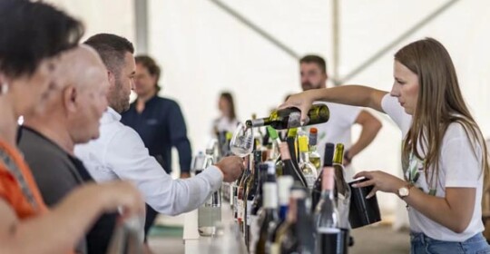 eco-wine-fest-bedenica-modnialmanah-gastro