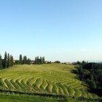 jeruzalem-ormož-lifestyle-prlekija-slovenija-puklavec-family-wines