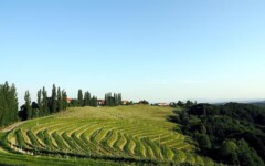jeruzalem-ormož-lifestyle-prlekija-slovenija-puklavec-family-wines