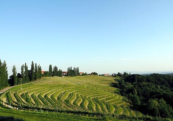 jeruzalem-ormož-lifestyle-prlekija-slovenija-puklavec-family-wines