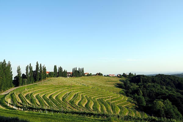 jeruzalem-ormož-lifestyle-prlekija-slovenija-puklavec-family-wines