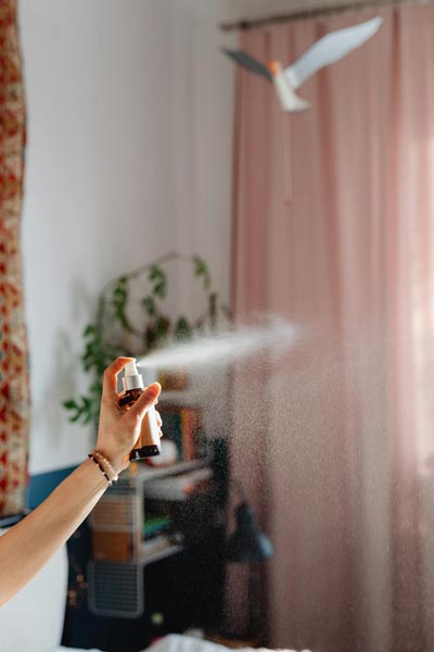 beauty-mist-modnialmanah-ljepota-njega