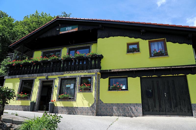 riba-in-pol-restoran-pastrva-šaran-gastronomija-feel-slovenia-modnialmanah