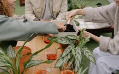 savjet-biljke-zeleni-detox-modnialmanah
