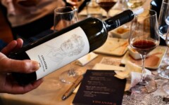 vislander-gastro-modnialmanah-wine-vino-vugava-bugava
