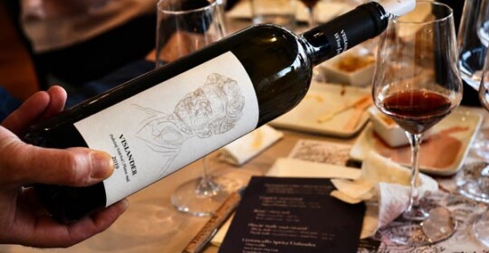 vislander-gastro-modnialmanah-wine-vino-vugava-bugava
