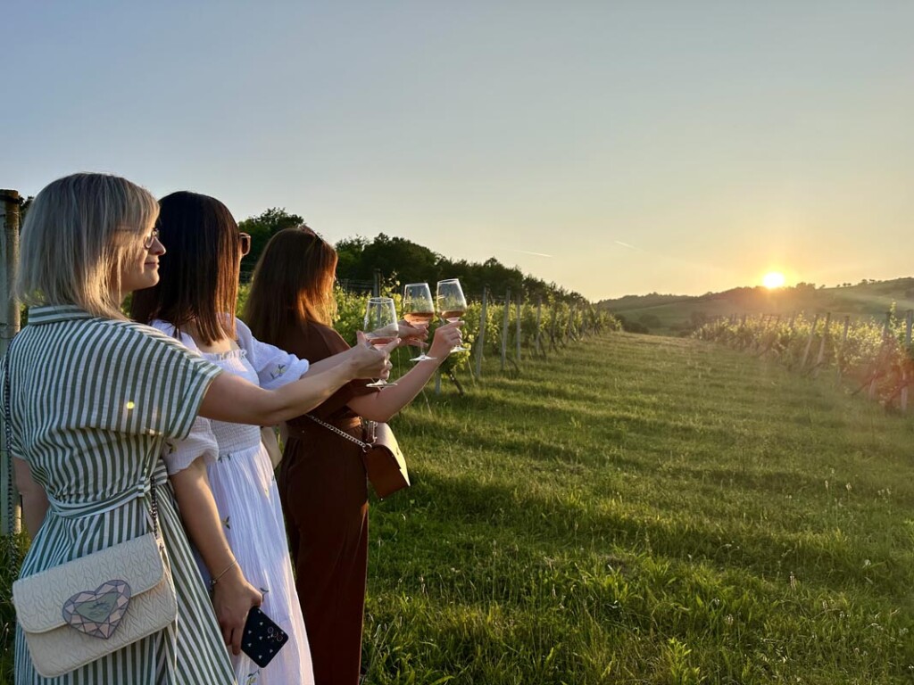 Zalazak-u-vinogradu-meridiana-slavonica-gastronomija-modnialmanah