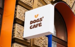 DOGS’-CAFÉ-split-modnialmanah-lifestyle