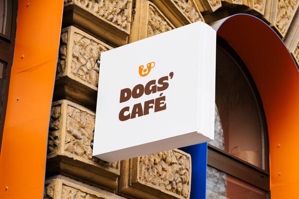 DOGS’-CAFÉ-split-modnialmanah-lifestyle