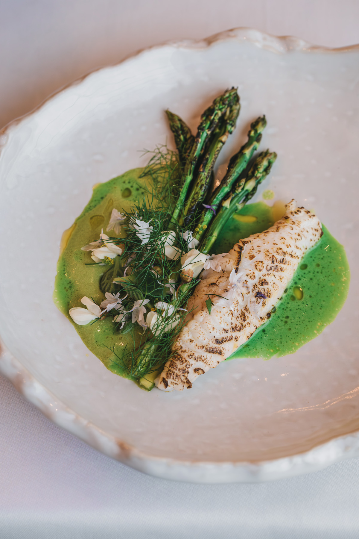 gastro-esplanada-Oleander-terasa-Esplanade-Zagreb-hotel-modnialmanah