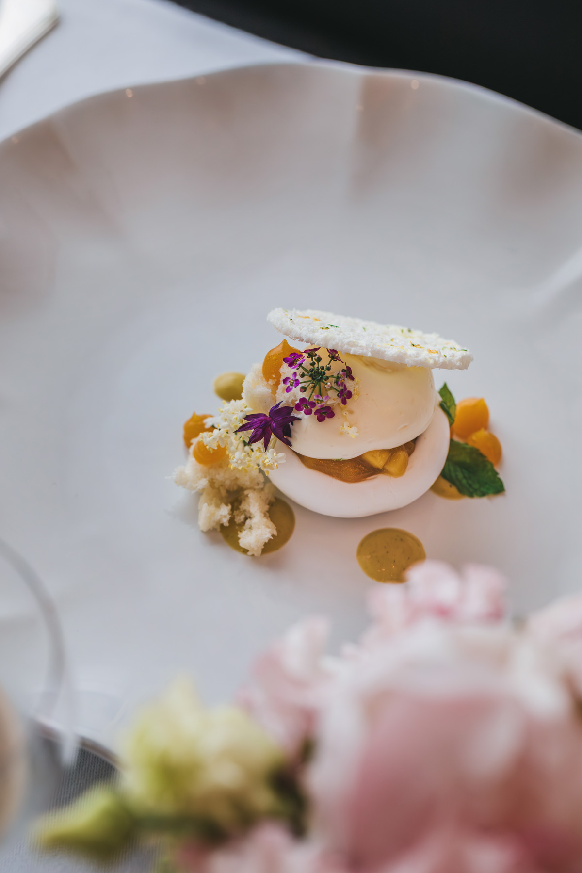 gastro-esplanada-Oleander-terasa-Esplanade-Zagreb-hotel-modnialmanah