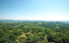 Südsteiermark-južna-štajerska-austrija-modnialmanah-vino-wine-izlet-vikend-priroda
