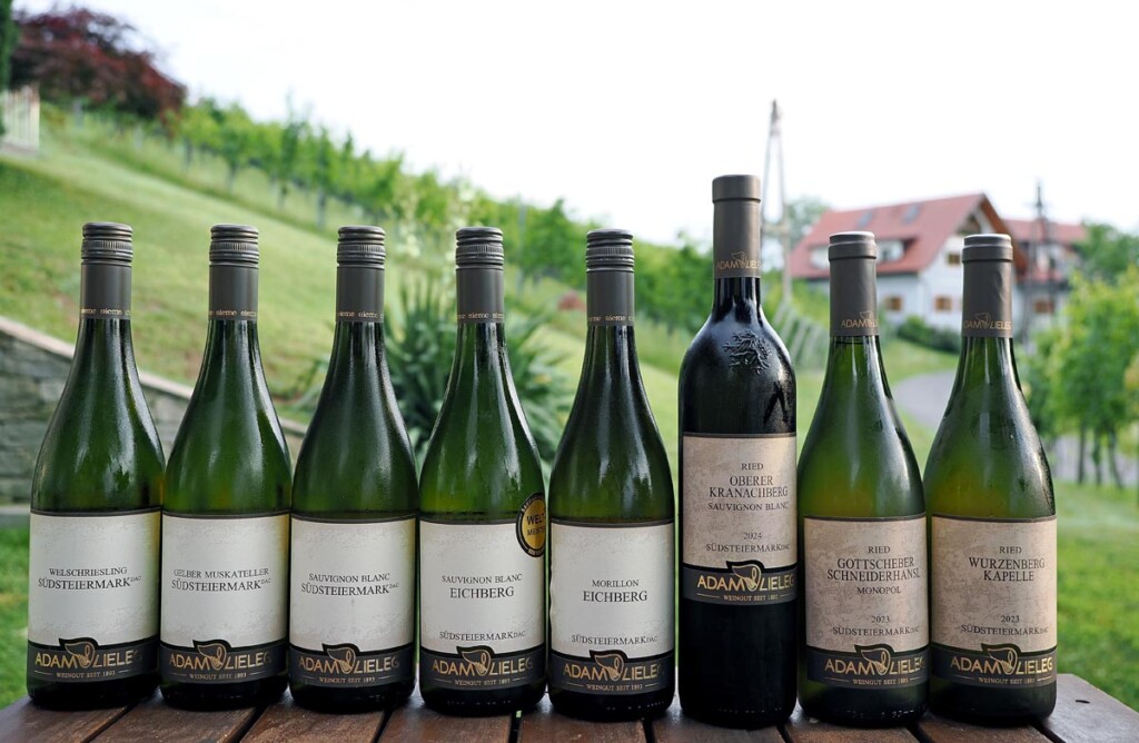 Weingut-Adam-Lieleg-gastro-modnialmanah-južna-štajerska-wine-vino-Südsteiermark