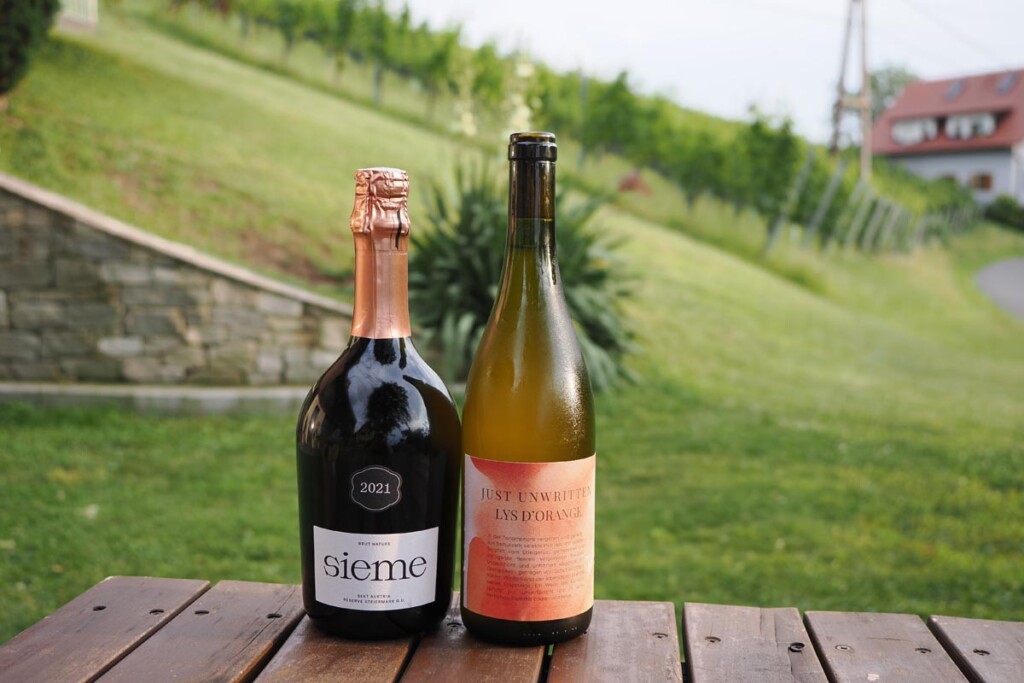 Weingut-Adam-Lieleg-gastro-modnialmanah-južna-štajerska-wine-vino-Südsteiermark