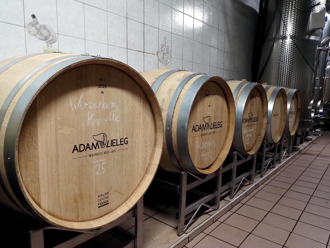 Weingut-Adam-Lieleg-gastro-modnialmanah-južna-štajerska-wine-vino-Südsteiermark