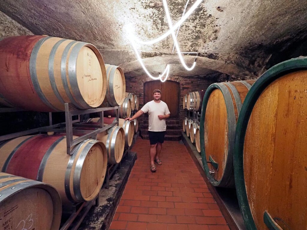 Weingut-Adam-Lieleg-gastro-modnialmanah-južna-štajerska-wine-vino-Südsteiermark