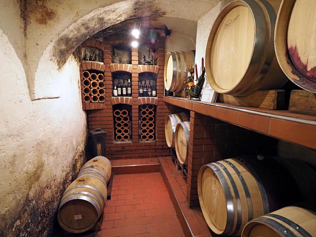 Weingut-Adam-Lieleg-gastro-modnialmanah-južna-štajerska-wine-vino-Südsteiermark