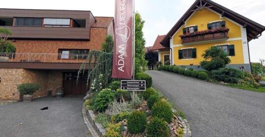 Weingut-Adam-Lieleg-gastro-modnialmanah-južna-štajerska-wine-vino-Südsteiermark