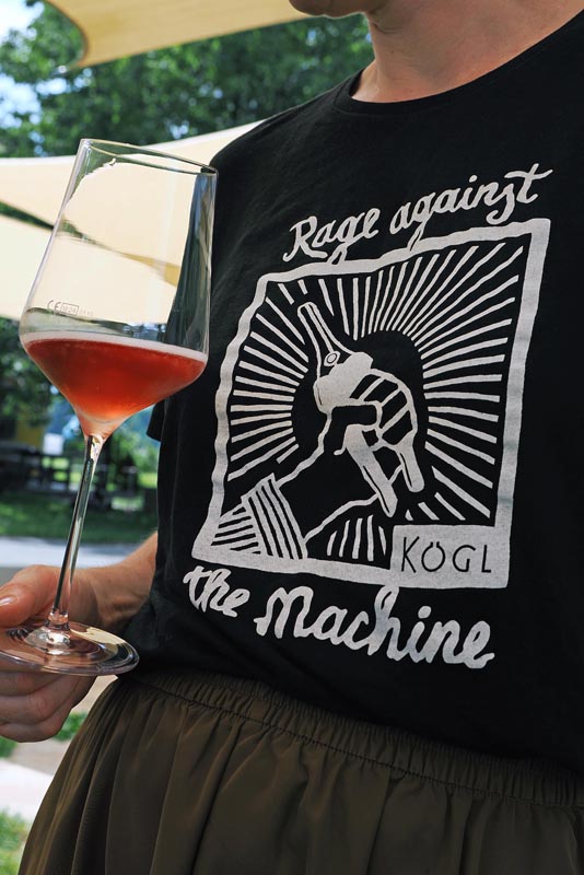 Weingut-Kögl-Tamara-Kögl-lifestyle-modnialmanah-wine-vino-južna-štajerska-Südsteiermark