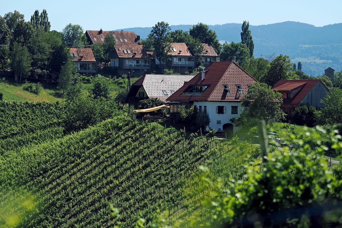 Weingut-Kögl-Tamara-Kögl-lifestyle-modnialmanah-wine-vino-južna-štajerska-Südsteiermark