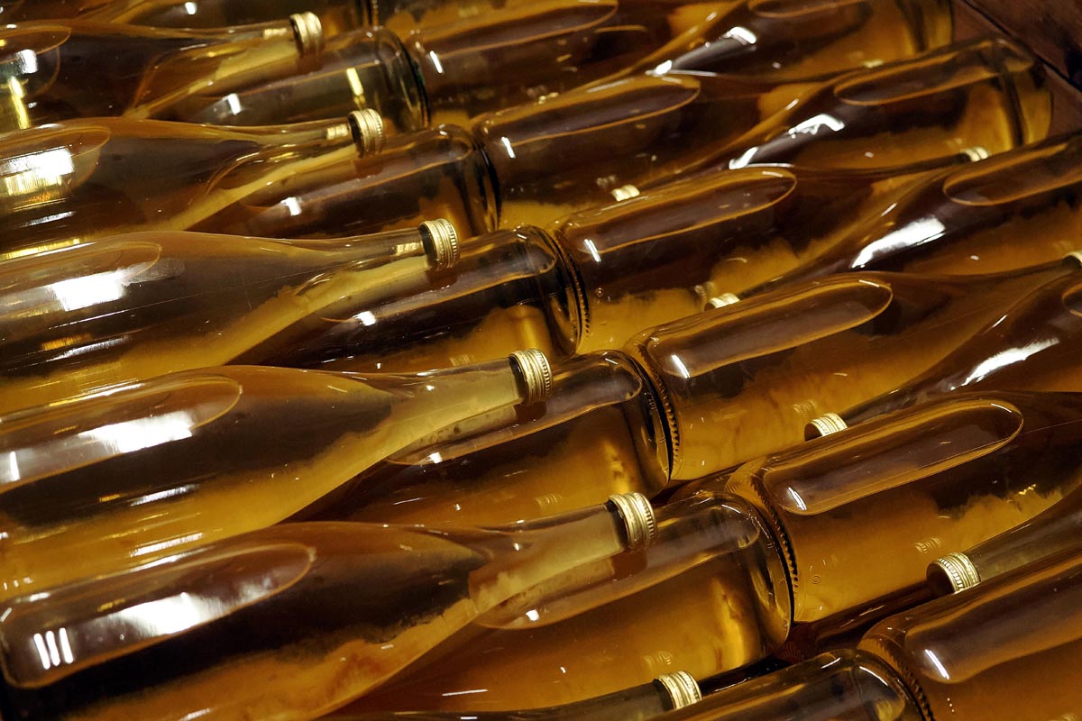 Weingut-Kögl-Tamara-Kögl-lifestyle-modnialmanah-wine-vino-južna-štajerska-Südsteiermark