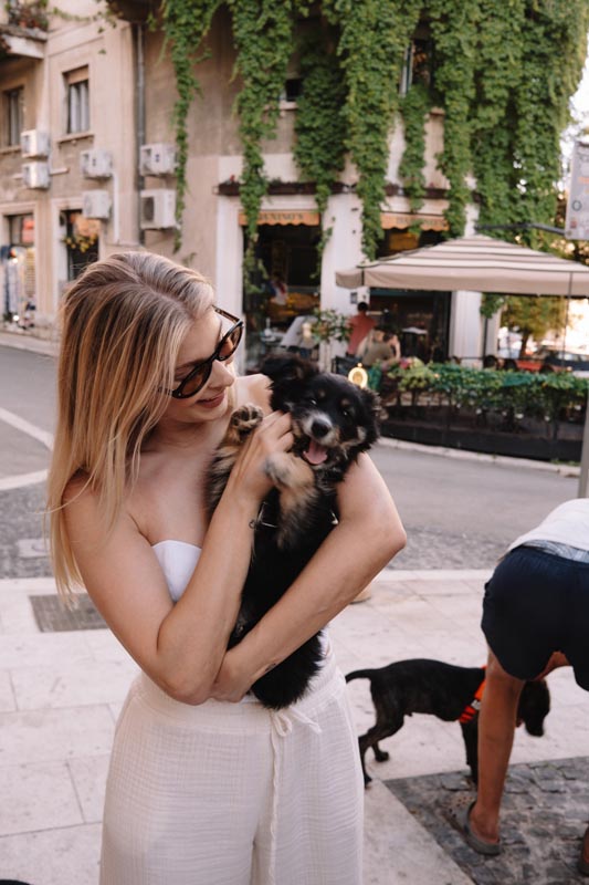 DOGS’-CAFÉ-split-modnialmanah-lifestyle